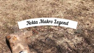Поиск с Nokta Makro Legend