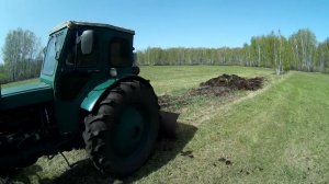 Деревья в сторону, навоз в кучу! Навожу порядок на сенокосе, Т 40АМ с отвалом весной в лесу 17 мая
