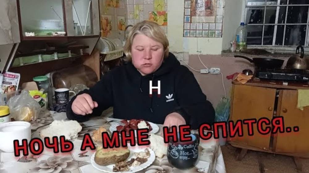 НАТАЛЬЯ ГУБАРЕВА. ЖИВУ ОДНА В ДЕРЕВНЕ. НОЧЬ А МНЕ НЕ СПИТЬСЯ