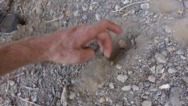 Antlion (4K) - Episode 3 смотреть онлайн