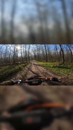 ПО ЛЕСУ 🏍️🏎️