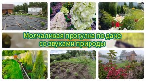 ДАЧА С 2020 ПО 2024 ГОДЫ В ОДНОМ ВИДЕО