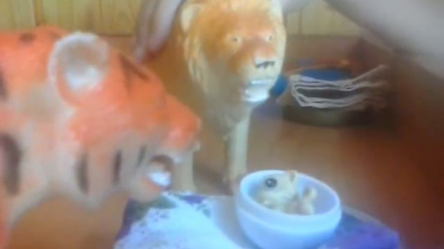 Тайная жизнь диких животных смотреть онлайн