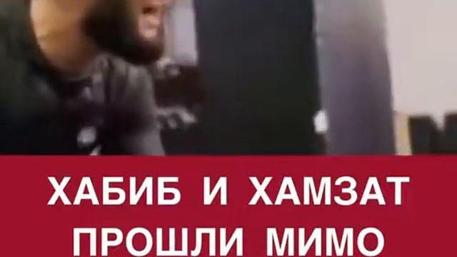 Хабиб и Хамзат прошли мимо друг друга 👥 #хабиб #хамзат #хабибнурмагомедов #хамзатчимаев #ютуб #топ