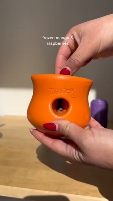 Prep my dogs enrichment for the week with me #shorts #dogenrichment #dogfood #enrichment смотреть онлайн