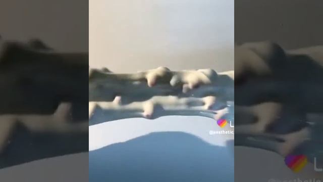 💕•слаймы+истории•| смотреть онлайн