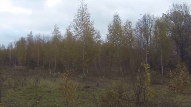 чётко и просто смотреть онлайн