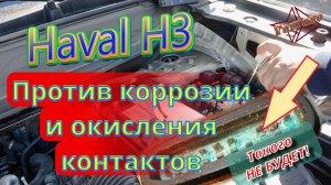 Haval /Хавал /  H3 против коррозии, профилактика контактов электропроводки.