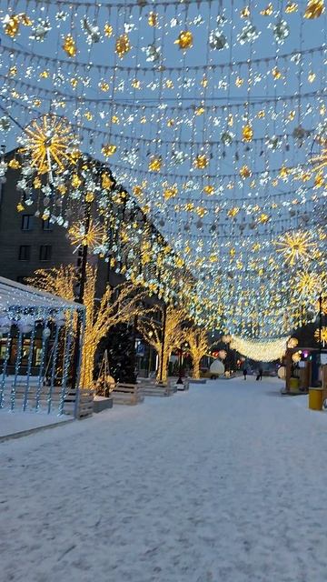 Новосибирск