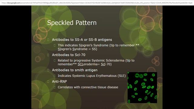 ANA presentation смотреть онлайн