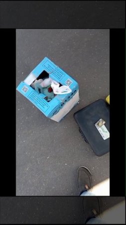 заправка кондиционера на выезде
