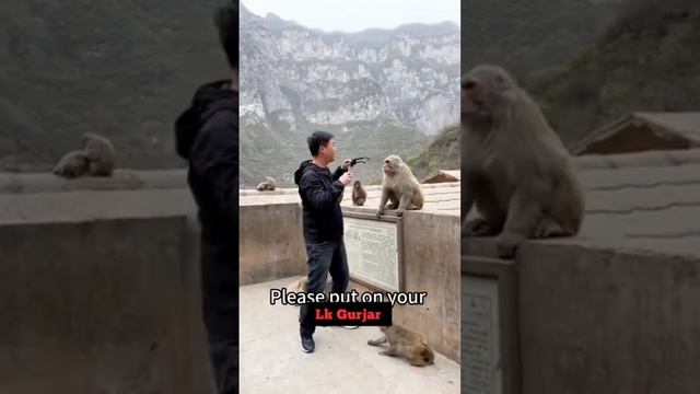 china.ke,champklal##monkey.vide смотреть онлайн