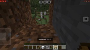 Minecraft #1