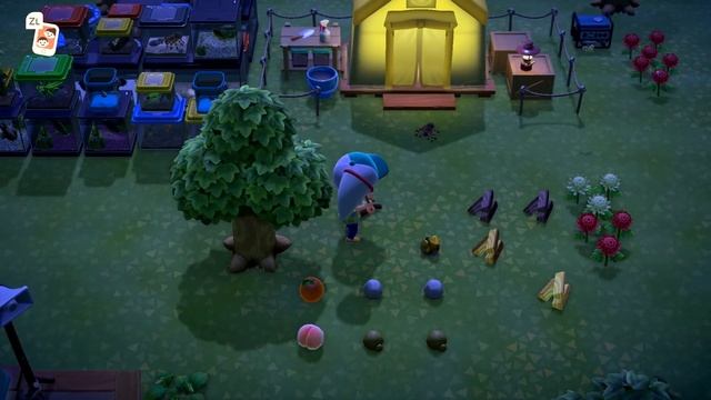 How To Catch a TARANTULA - ACNH [TUTORIAL] смотреть онлайн