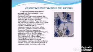 Тері ауруларының пайда болу себептері мен салдары (қышыма, теміреткі, безеу бөртпелері). 8-сынып