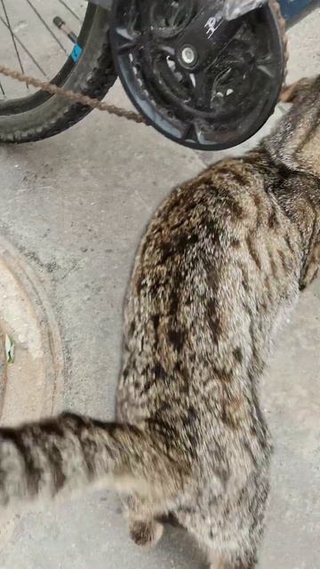 ЛАСКА И ЛЮБОВЬ!!! ❤️🧡💛💚💙💜💖 смотреть онлайн