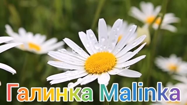 Ольга Уралочка live /Сарафан, мы все узнаем про тебя /Обзор Влогов /Уралочка и Сафар /