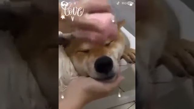 лов ми смотреть онлайн