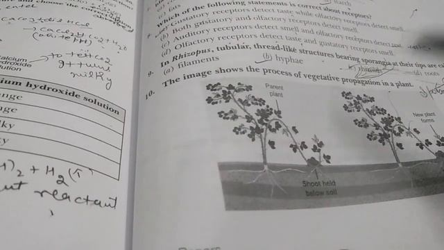 Class 10th Exam Idea Sample paper 9 to 11 Section A Exam oriented question with explanation