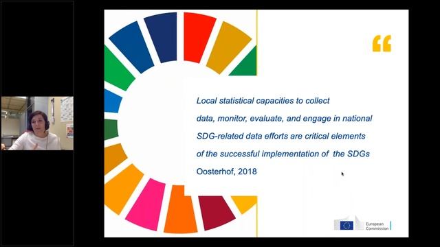 UBC TALKS: Local work on the Sustainable Development Goals in UBC Cities, part I