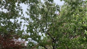 Гуляю в ПГТ СИРИУС