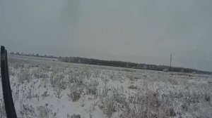 Охота на зайца по пороше, сезон 2017-2018.