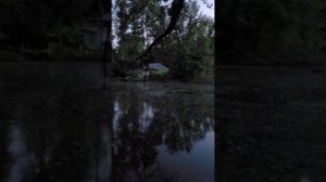 Отдых на Волге. Турбаза "Плёс".