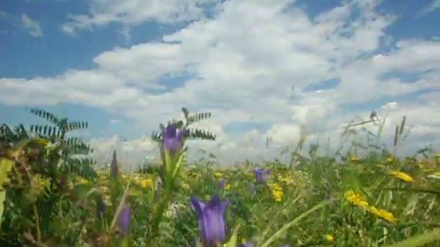 04 08 21 велопоход по лугам Кентубек Павлодарская обл смотреть онлайн