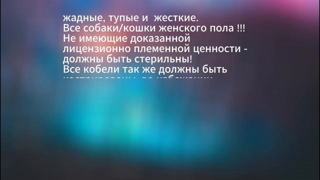 Они родились, чтобы их продали ...😥 #помощьбездомнымживотным #непокупайприюти #собакасисторией