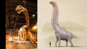 Несколько эпичных названий динозавров