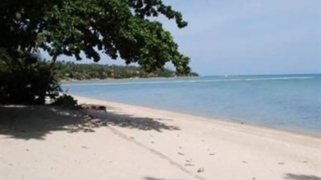 Rose Garden Samui Bungalow - Samui Island