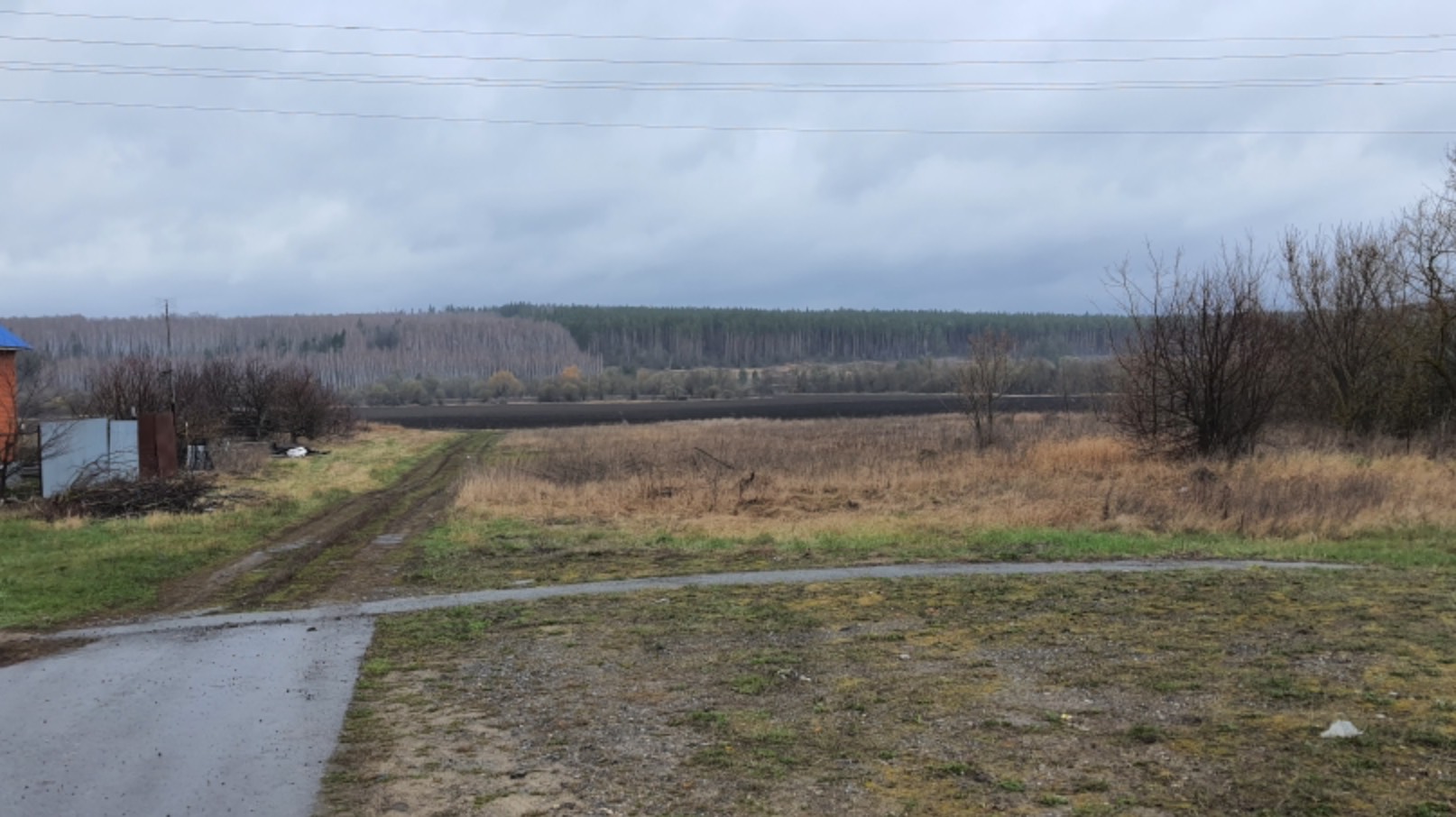 Камышевка участок  видео 2