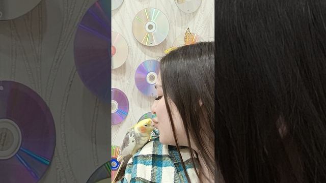 Попугай  Кеша