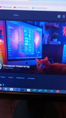 Кот и Компьютер