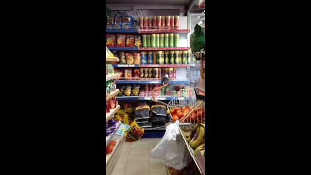 Aug 17, 2013 говорящий попугай гуляет по магазину на Кипре))) смотреть онлайн