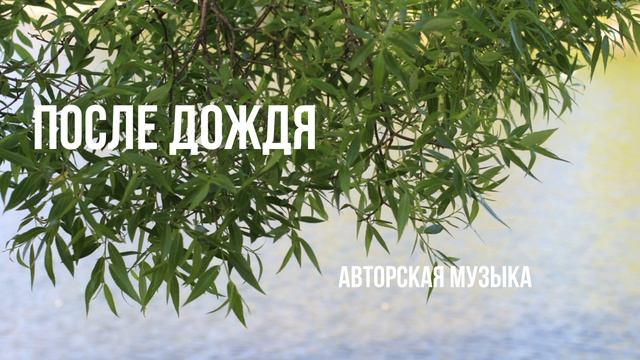 Авторская музыка: После дождя.