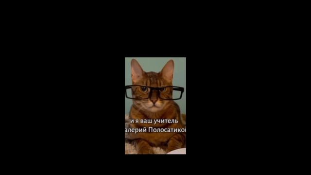 Валерий полосатиков эппппппппппп!!!!!!!