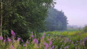 Фаниль Вакказов- Ашыкма син...