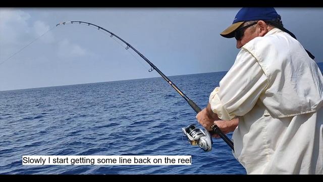 Maldives Wahoo & Huge Black Marlin story смотреть онлайн