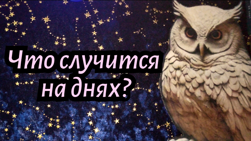 ЧТО СЛУЧИТСЯ НА ДНЯХ? #ТАРО РАСКЛАД ГАДАНИЕ ОНЛАЙН