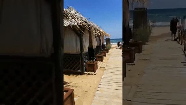 6 июля 2022 г. смотреть онлайн