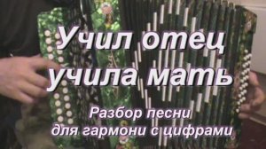 Учил отец, учила мать. (053 гармонь с цифрами)