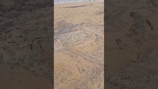 Анапа_мазут_на_пляже.MP4