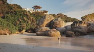 Фанатка* Ирина Громова*