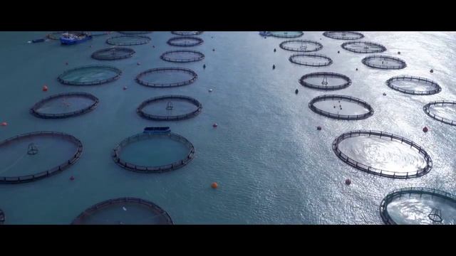 Piraeus Bank "I am" смотреть онлайн