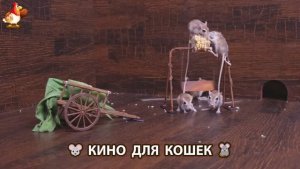 Видео для кошек про крысок развлекать питомцев 🐭🐀😂 33