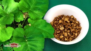 Как заготовить корень ЛОПУХА на зиму. Очень простой и быстрый способ!