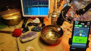 17.3СМ 244Н ЛЯ 216 ГЦ  896ГР  11.9К