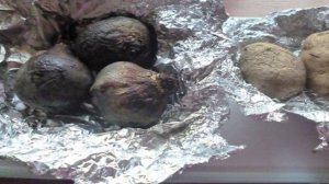 Винегрет из запеченных овощей