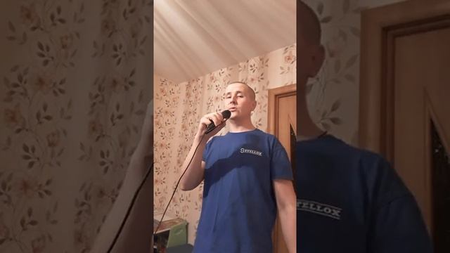 Солист - Родная деревня (кавер версия)